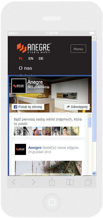 Software personalizzato. Per l'azienda Anegre abbiamo creato il sito web in tecnica del RWD.<br>La scheda Facebook. La modalità ritratto sull' iPhone5. Larghezza dello schermo 320px