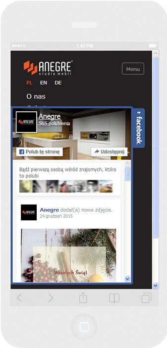 Software personalizzato. Per l'azienda Anegre abbiamo creato il sito web in tecnica del RWD.<br>La scheda Facebook. La modalità ritratto sull' iPhone6. Larghezza dello schermo 375px