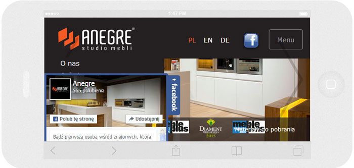 Software personalizzato. Per l'azienda Anegre abbiamo creato il sito web in tecnica del RWD.<br>La scheda Facebook. La modalità panorama sull' iPhone6. Larghezza dello schermo 667px