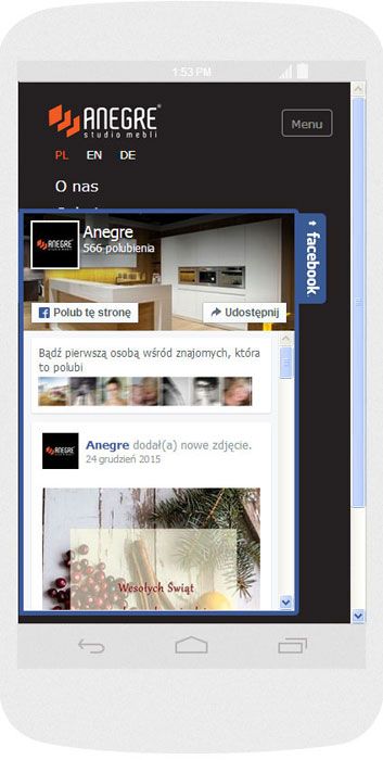 Software personalizzato. Per l'azienda Anegre abbiamo creato il sito web in tecnica del RWD.<br>La scheda Facebook. La modalità ritratto sull' Nexus (Android). Larghezza dello schermo 384px