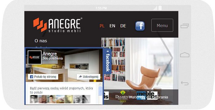 Software personalizzato. Per l'azienda Anegre abbiamo creato il sito web in tecnica del RWD.<br>La scheda Facebook. La modalità panorama sull' Nexus4 (Android). Larghezza  dello schermo 600px